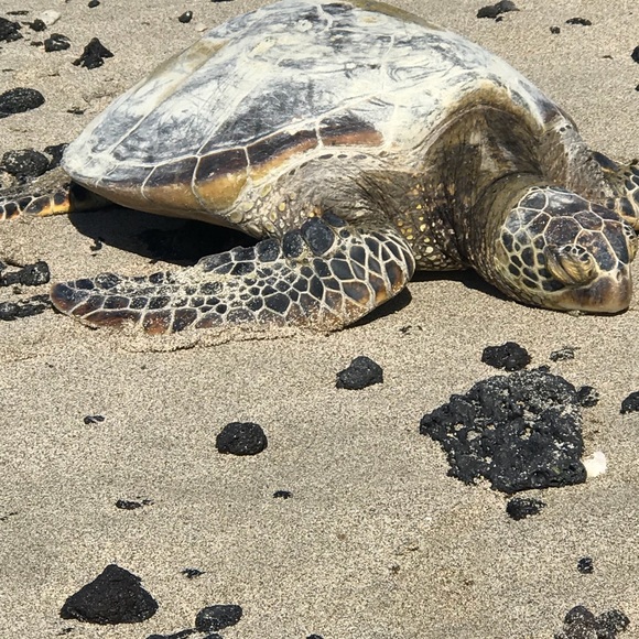 Meet your Posher, MoJo - Picture 8 of 13